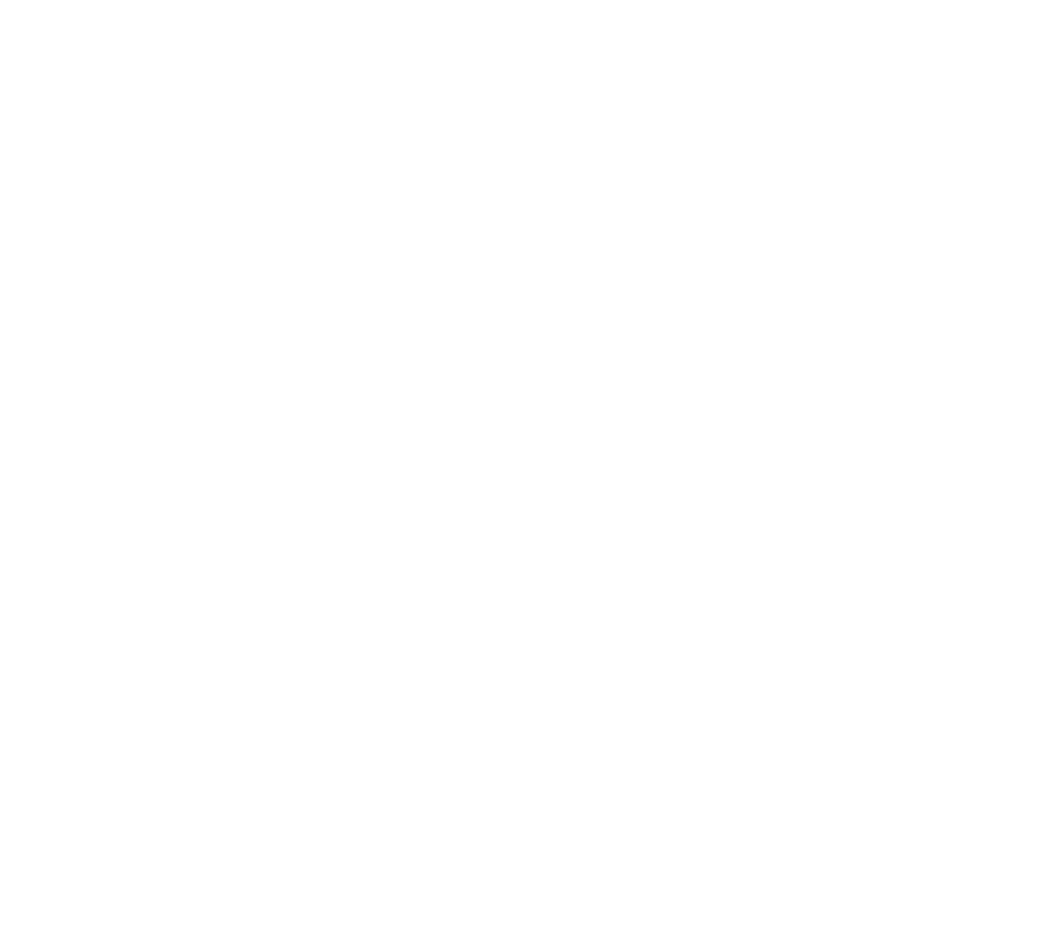 TRIGLAV Solutions